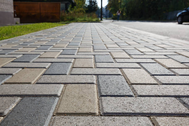 Best Driveway Repair Near Me  in Foley, MN