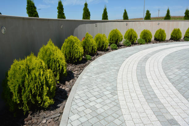 Best Interlocking Driveway Pavers  in Foley, MN
